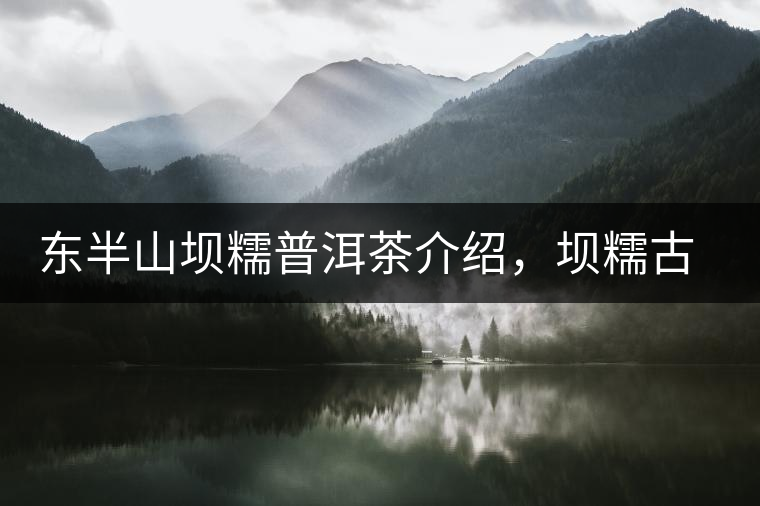 東半山壩糯普洱茶介紹，壩糯古樹茶口感特點