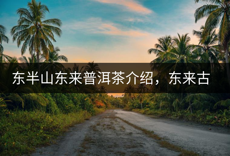 東半山東來普洱茶介紹，東來古樹茶口感特點