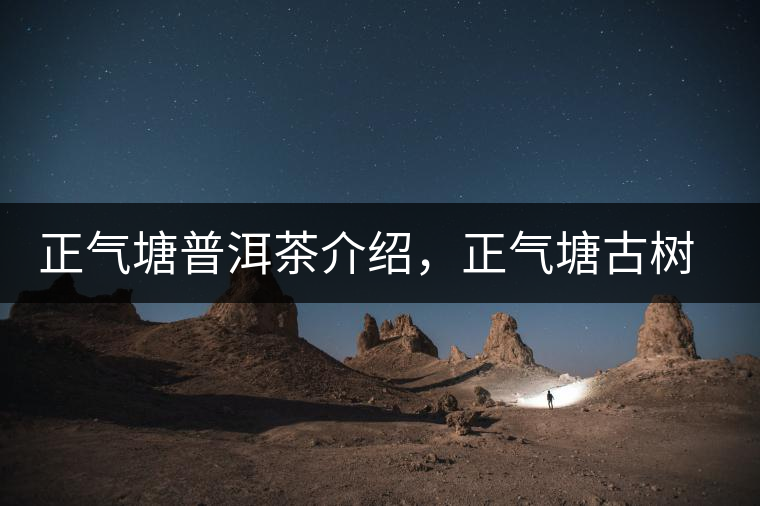 正氣塘普洱茶介紹，正氣塘古樹茶口感特點