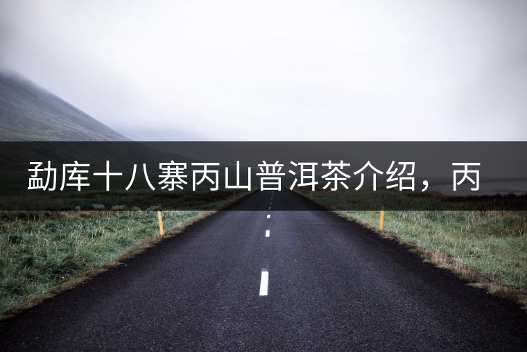 勐庫(kù)十八寨丙山普洱茶介紹，丙山古樹(shù)茶口感特點(diǎn)