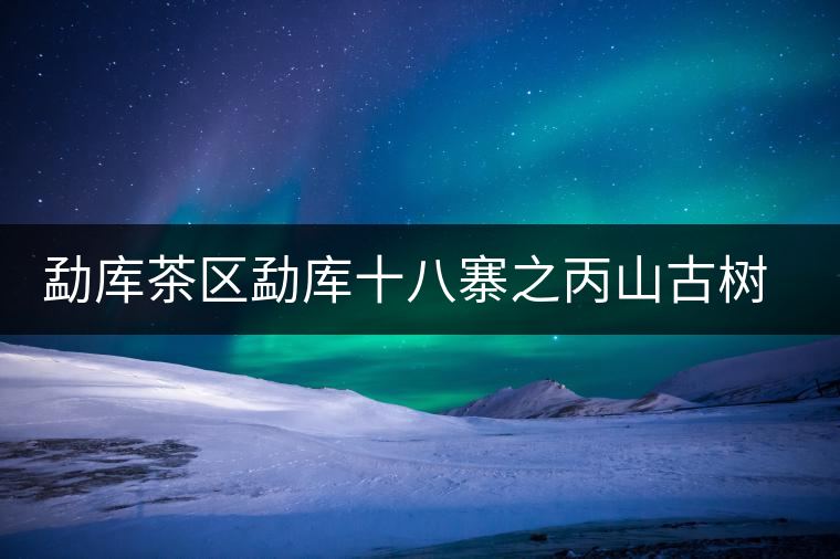 勐庫茶區(qū)勐庫十八寨之丙山古樹茶簡介