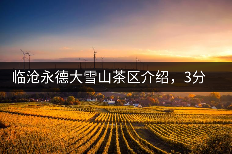 臨滄永德大雪山茶區(qū)介紹，3分鐘了解永德大雪山古樹(shù)茶