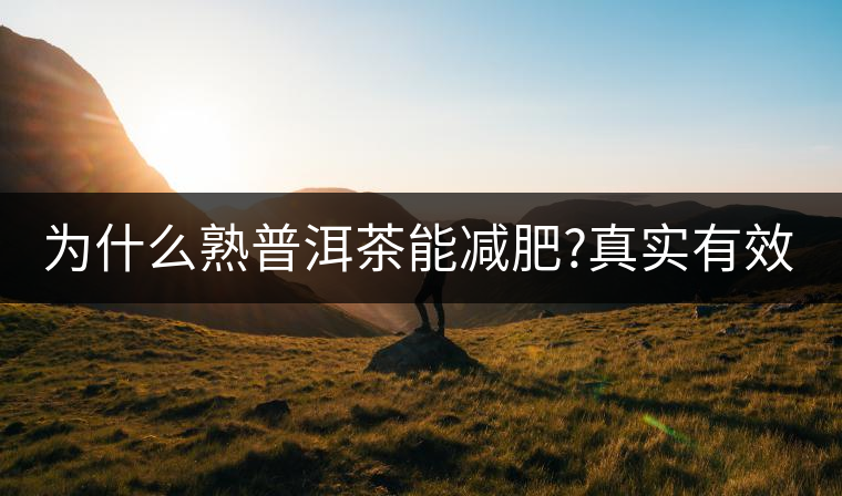 為什么熟普洱茶能減肥?真實(shí)有效嗎？