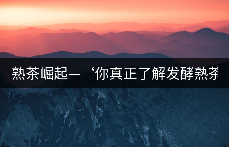 熟茶崛起—‘你真正了解發(fā)酵熟茶？’