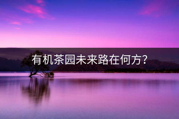 有機(jī)茶園未來路在何方？