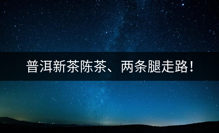 普洱新茶陳茶、兩條腿走路！