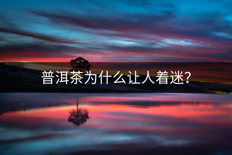 普洱茶為什么讓人著迷？