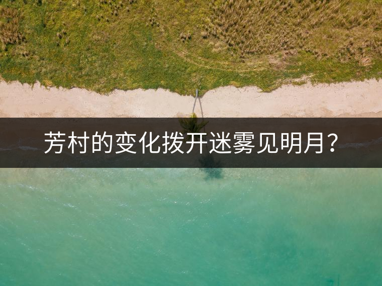 芳村的變化撥開迷霧見明月？