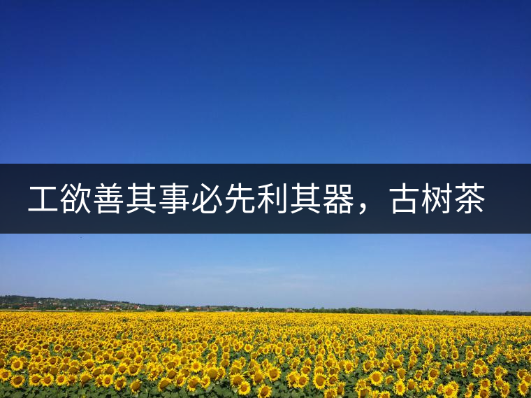 工欲善其事必先利其器，古樹(shù)茶用什么茶器最好？