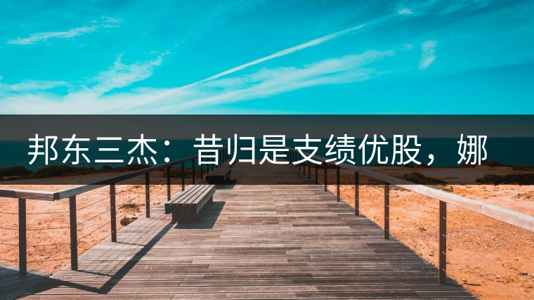 邦東三杰：昔歸是支績(jī)優(yōu)股，娜罕是支潛力股