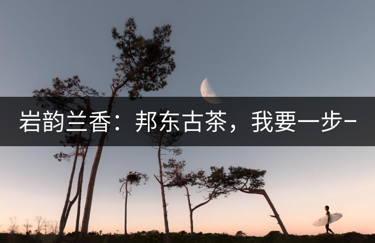 巖韻蘭香：邦東古茶，我要一步一步往上爬！