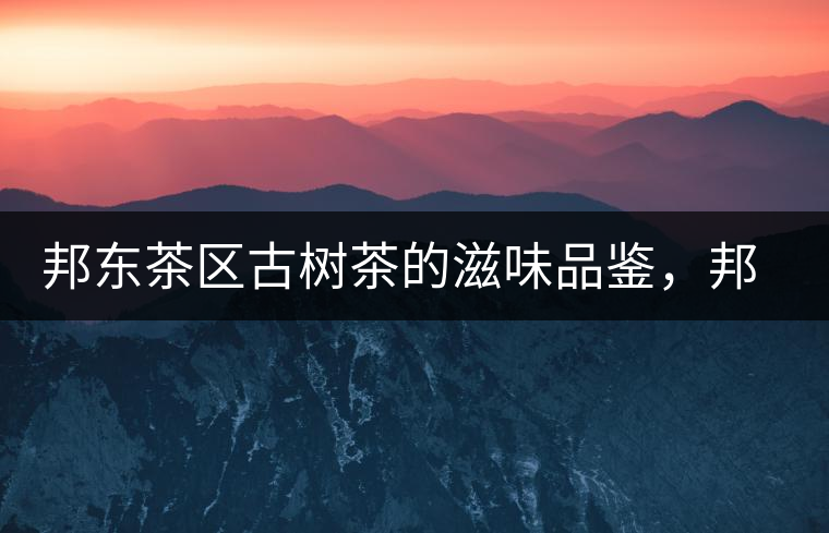 邦東茶區(qū)古樹茶的滋味品鑒，邦東普洱茶特點