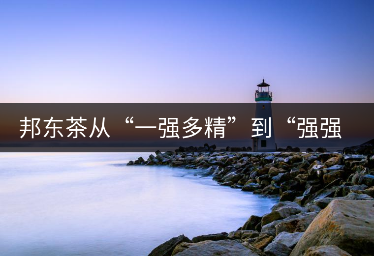 邦東茶從“一強(qiáng)多精”到“強(qiáng)強(qiáng)聯(lián)手”，是山頭茶未來的發(fā)展格局！