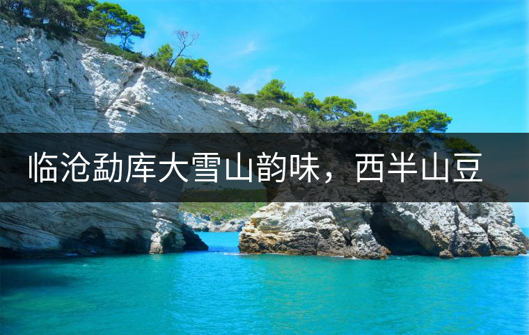 臨滄勐庫大雪山韻味，西半山豆腐寨古樹茶