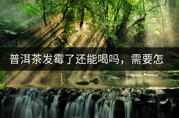 普洱茶發(fā)霉了還能喝嗎，需要怎么處理？