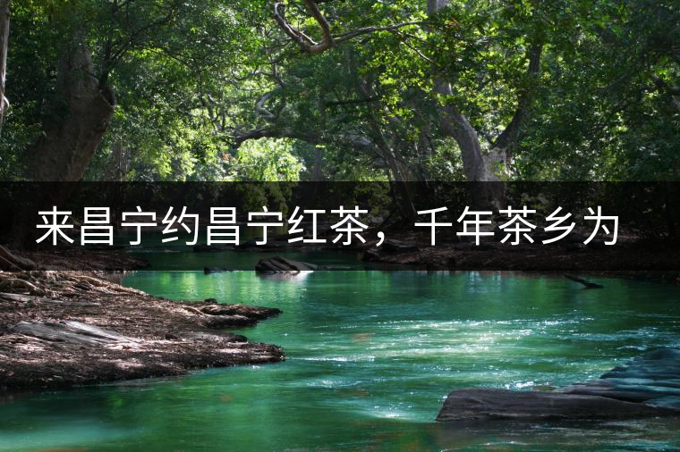 來昌寧約昌寧紅茶，千年茶鄉(xiāng)為您開啟生態(tài)之旅