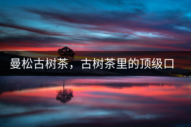 曼松古樹茶，古樹茶里的頂級口感