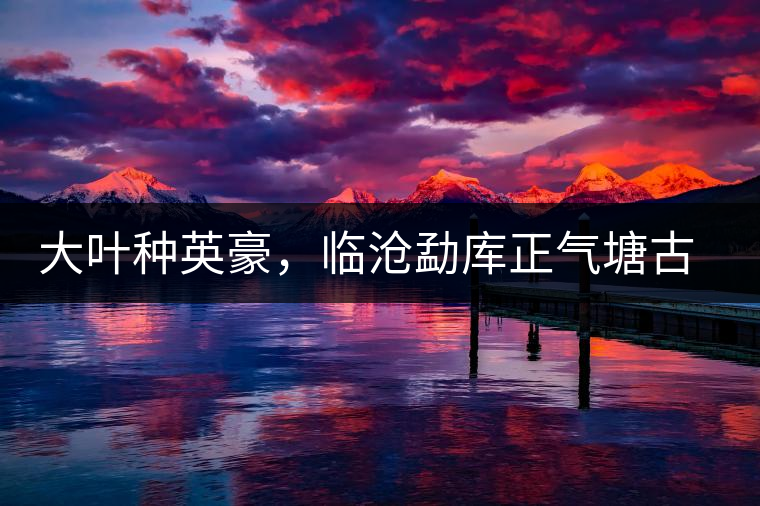 大葉種英豪，臨滄勐庫(kù)正氣塘古樹茶介紹