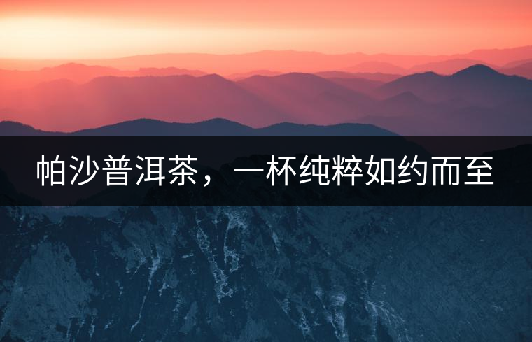 帕沙普洱茶，一杯純粹如約而至