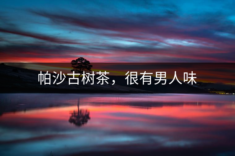 帕沙古樹茶，很有男人味