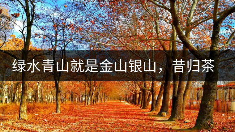 綠水青山就是金山銀山，昔歸茶農(nóng)唱著“茶歌”奔小康