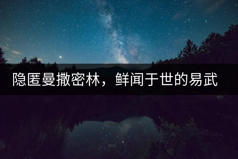 隱匿曼撒密林，鮮聞于世的易武一扇磨古樹茶