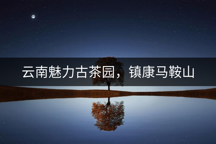 云南魅力古茶園，鎮(zhèn)康馬鞍山