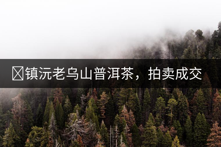 ?鎮(zhèn)沅老烏山普洱茶，拍賣成交價再創(chuàng)新高