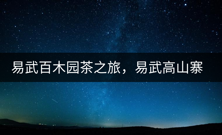 易武百木園茶之旅，易武高山寨古茶山