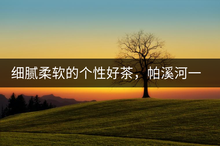 細(xì)膩柔軟的個性好茶，帕溪河一扇磨古樹茶