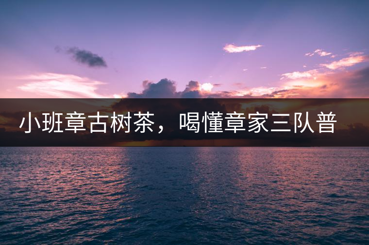 小班章古樹茶，喝懂章家三隊普洱茶