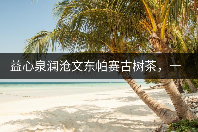 益心泉瀾滄文東帕賽古樹茶，一山茶兩岸香