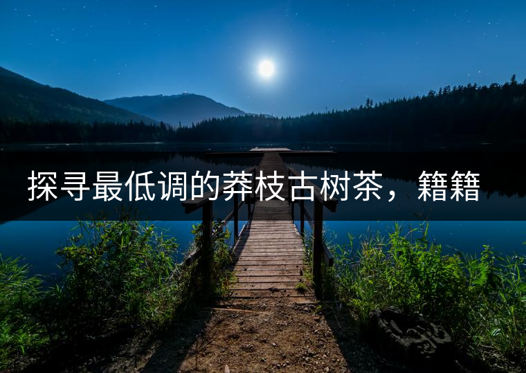 探尋最低調(diào)的莽枝古樹茶，籍籍無名出好茶
