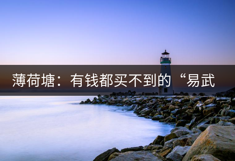 薄荷塘：有錢都買不到的“易武貴胄”，卓爾不群，無茶可及