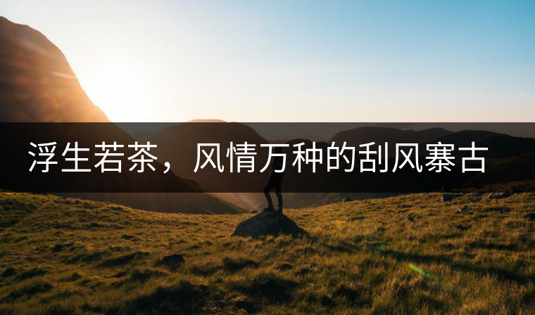 浮生若茶，風(fēng)情萬(wàn)種的刮風(fēng)寨古樹(shù)茶