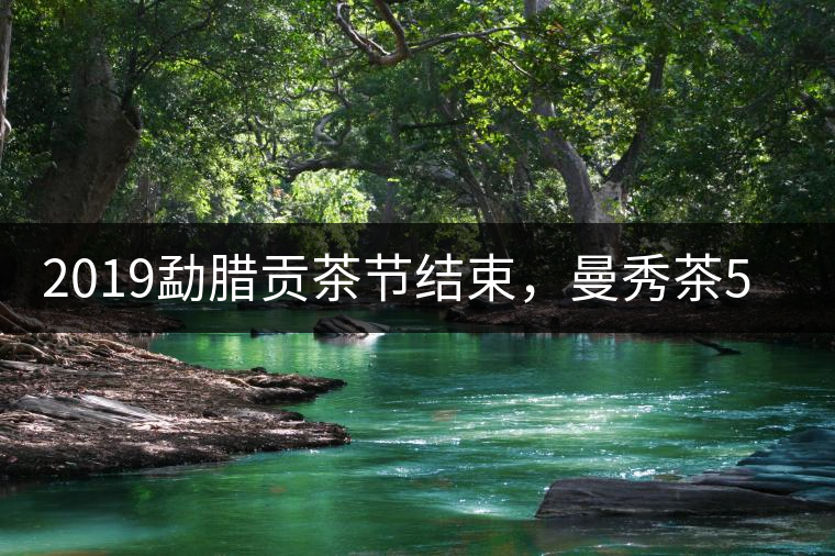 2019勐臘貢茶節(jié)結(jié)束，曼秀茶5公斤107萬(wàn)奪得金獎(jiǎng)