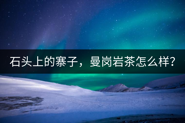 石頭上的寨子，曼崗巖茶怎么樣？