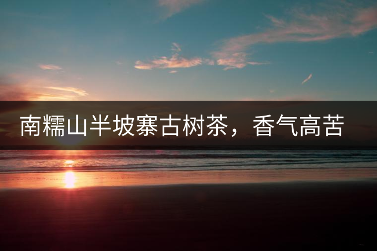 南糯山半坡寨古樹茶，香氣高苦味淡甜味重