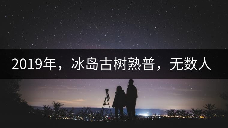 2019年，冰島古樹熟普，無數(shù)人在尋找