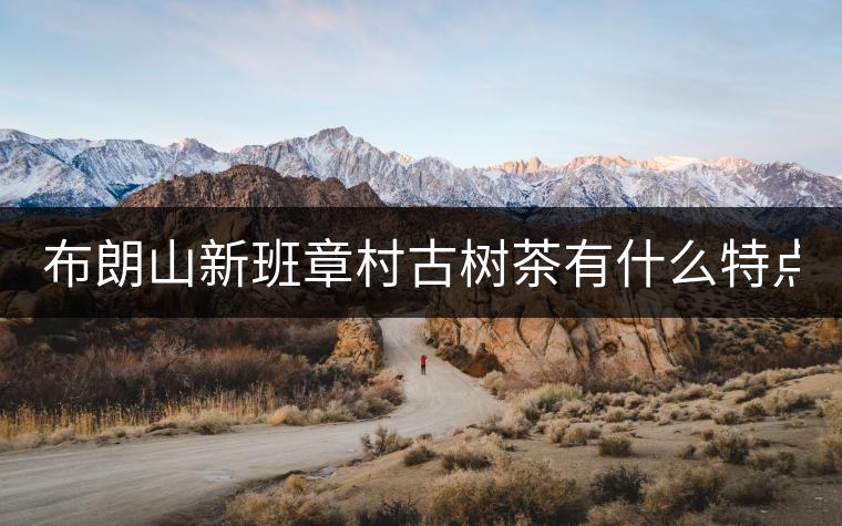布朗山新班章村古樹茶有什么特點？