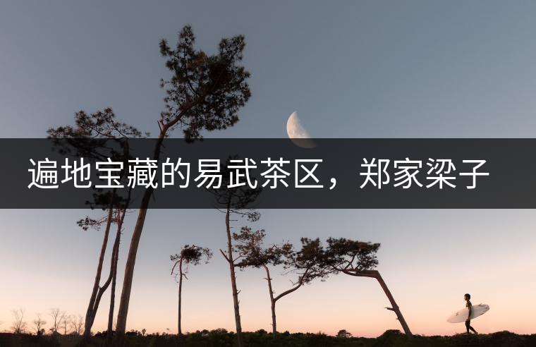 遍地寶藏的易武茶區(qū)，鄭家梁子荒田村古樹茶介紹