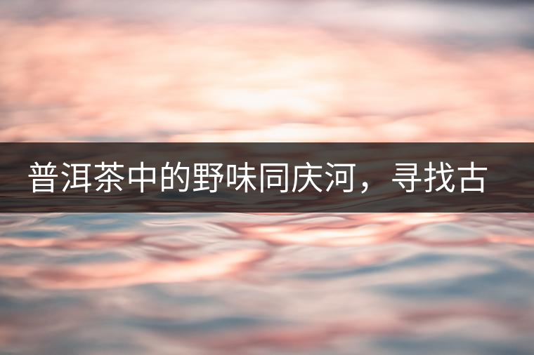 普洱茶中的野味同慶河，尋找古樹(shù)茶山新寵的蹤跡