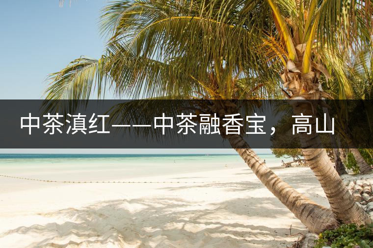 中茶滇紅——中茶融香寶，高山烏龍茶