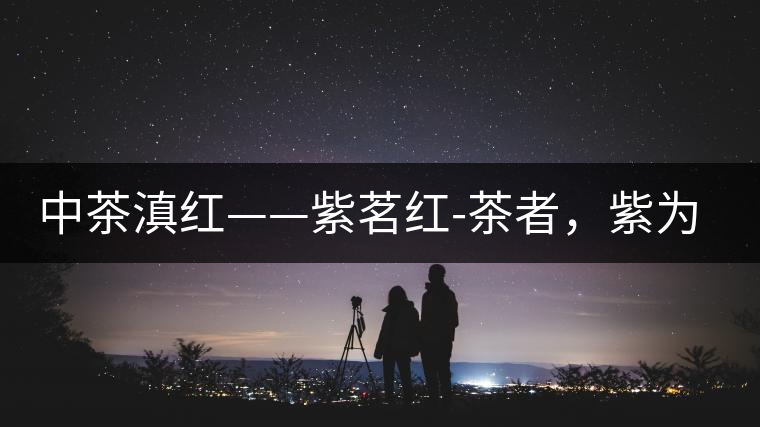 中茶滇紅——紫茗紅-茶者，紫為上
