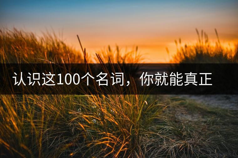 認(rèn)識(shí)這100個(gè)名詞，你就能真正了解普洱茶？