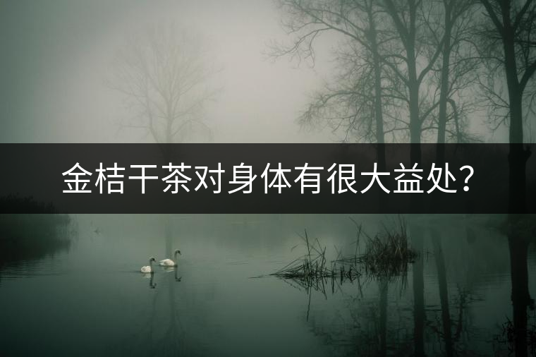 金桔干茶對身體有很大益處？