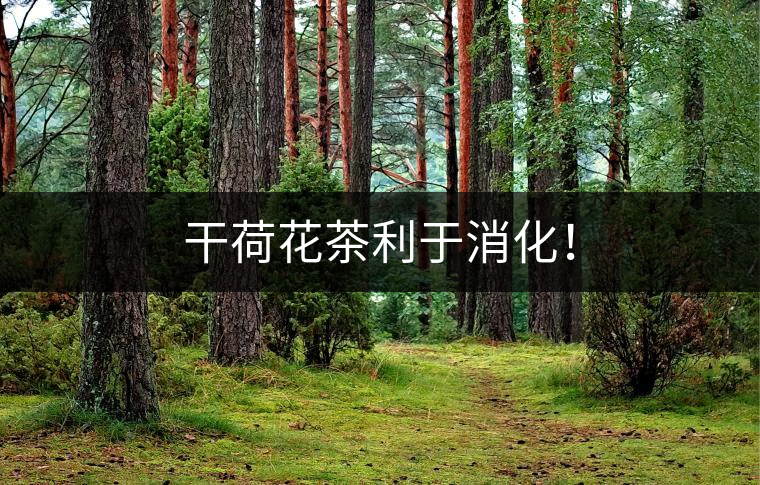 干荷花茶利于消化！