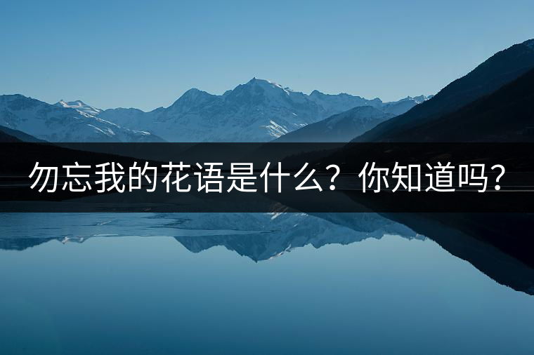 勿忘我的花語是什么？你知道嗎？