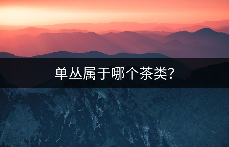 單叢屬于哪個(gè)茶類？