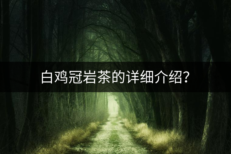 白雞冠巖茶的詳細(xì)介紹？